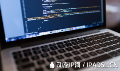 哪種方式可以獲取動態(tài)IP地址？