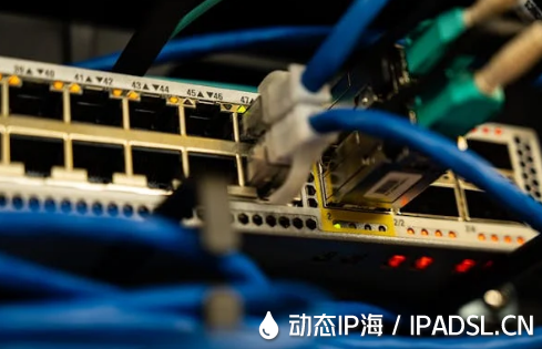 IP地址變換技術(shù)在網(wǎng)絡(luò)爬蟲中的應(yīng)用?