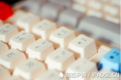 上網IP地址變換策略與技巧