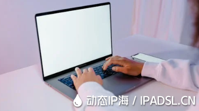 網絡IP地址偽裝變換方法