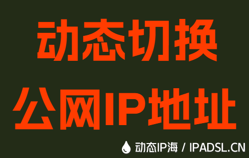 動態切換公網IP地址