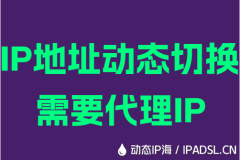 IP地址動態(tài)切換需要代理IP