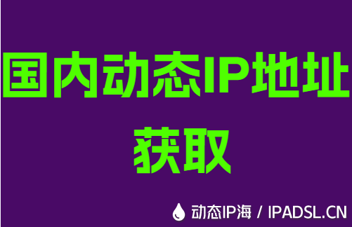 國內動態IP地址獲取